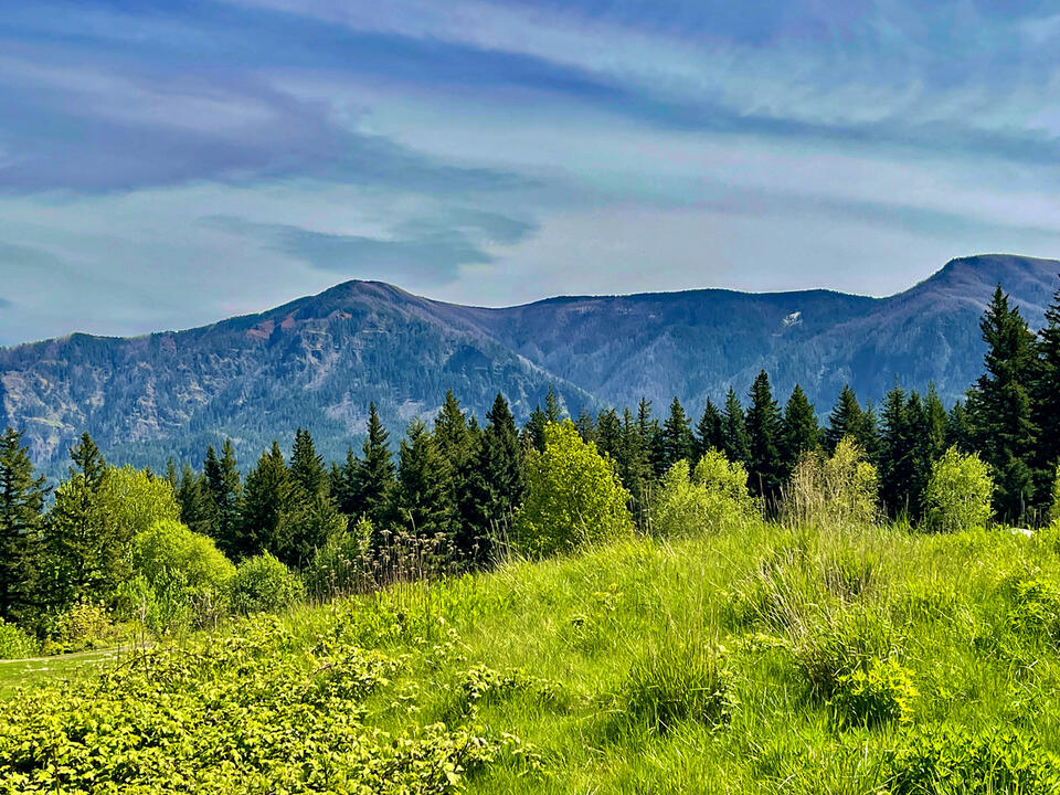 Mountain View 1 Mountain View 1